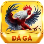 Vwin đá gà